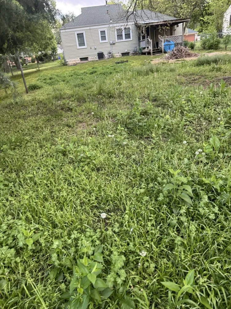 Professional landscape design in Junction City, KS by Next Level Handyman and Lawn Service