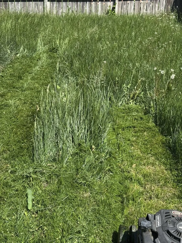 Local residential landscaping near you across Junction City, KS - Next Level Handyman and Lawn Service