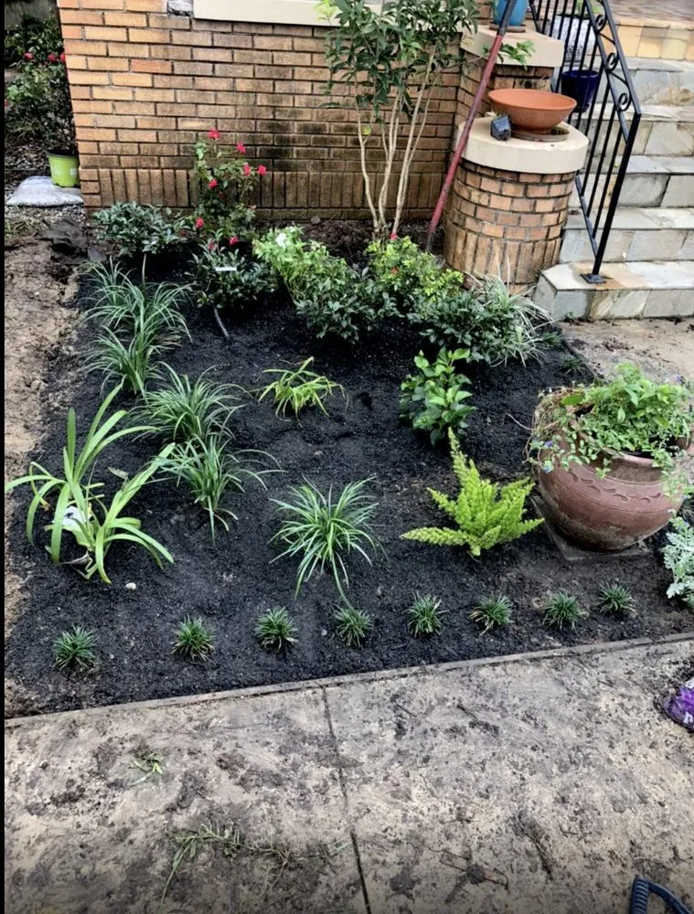 Local landscaping services in New Orleans, LA - Next Level Horticulture Service