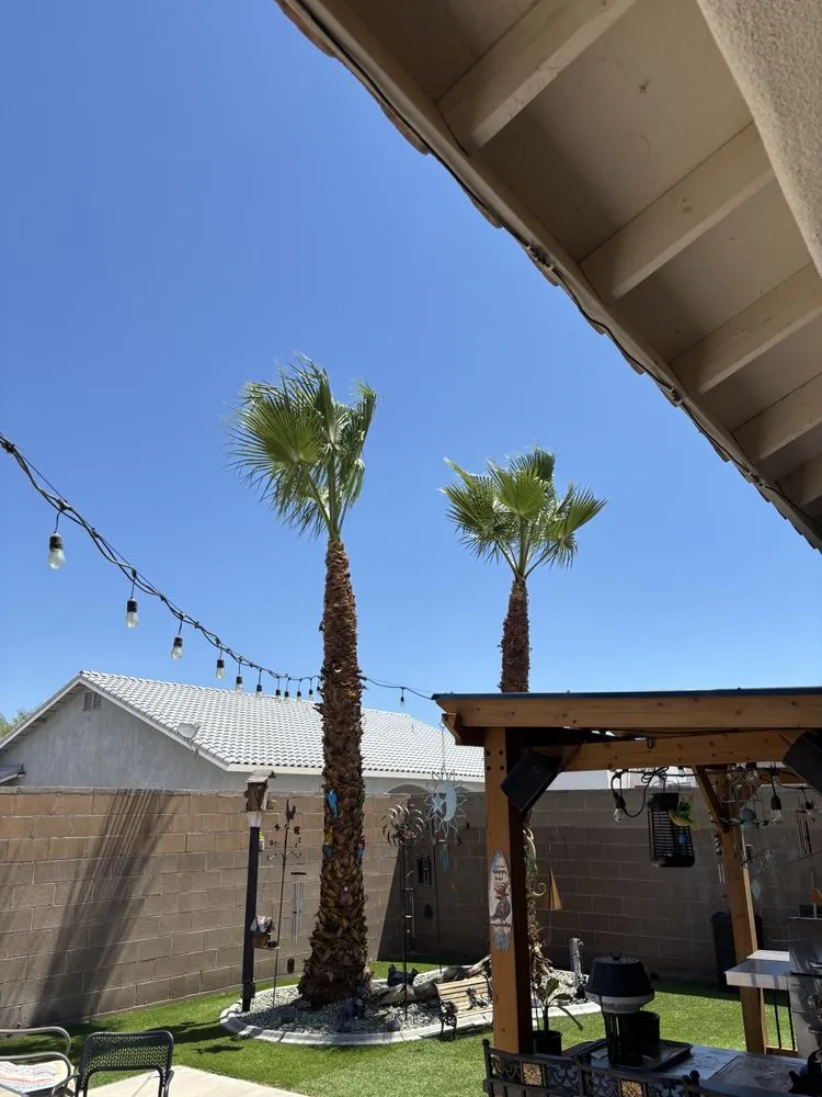 Local garden landscaping in Yuma, AZ by Next Level Landscape & Tree Care