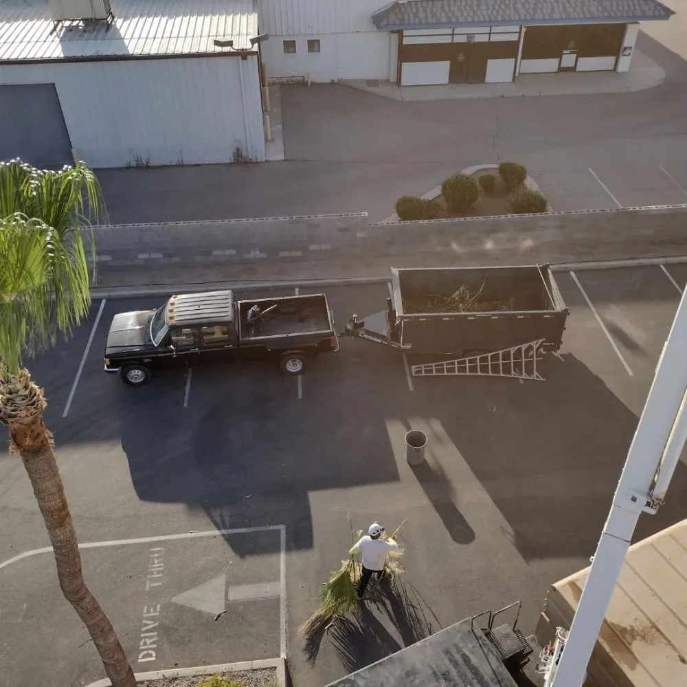 Expert yard maintenance in Yuma, AZ by Next Level Landscape & Tree Care