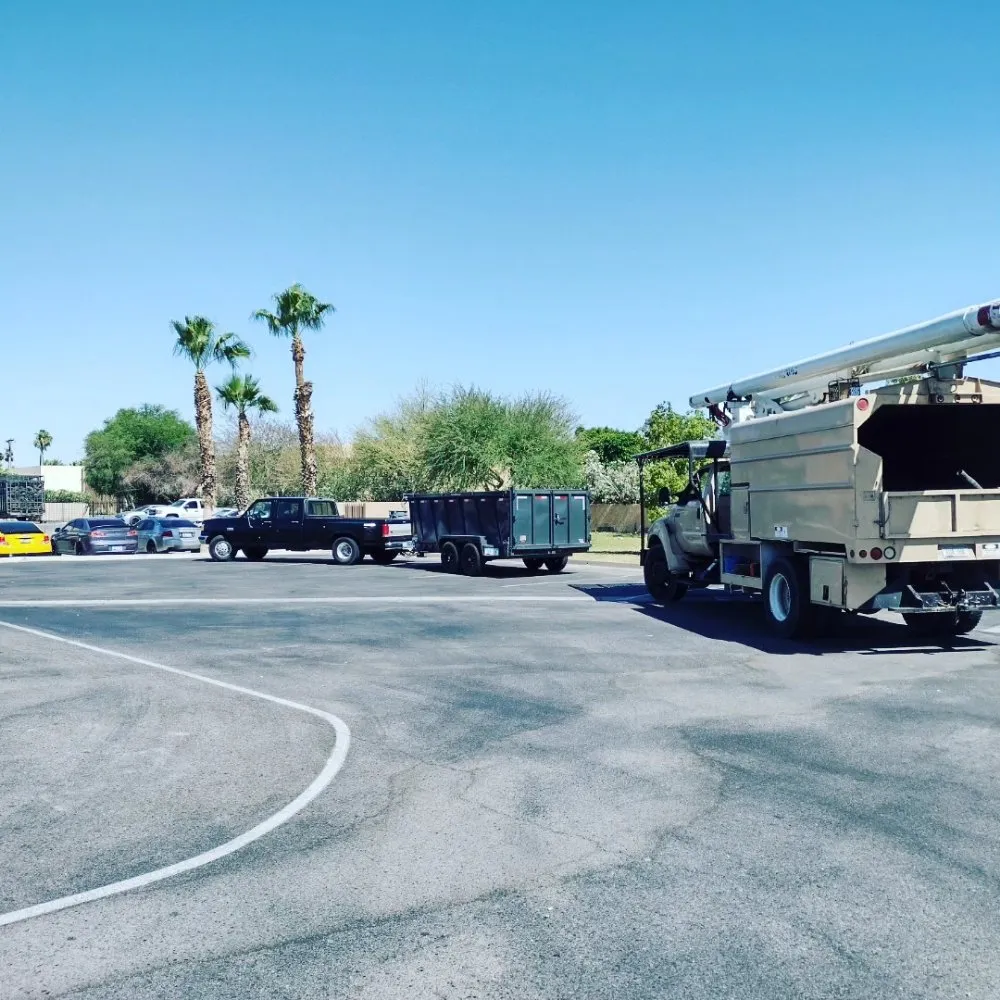 Custom yard cleanup service in Yuma, AZ by Next Level Landscape & Tree Care