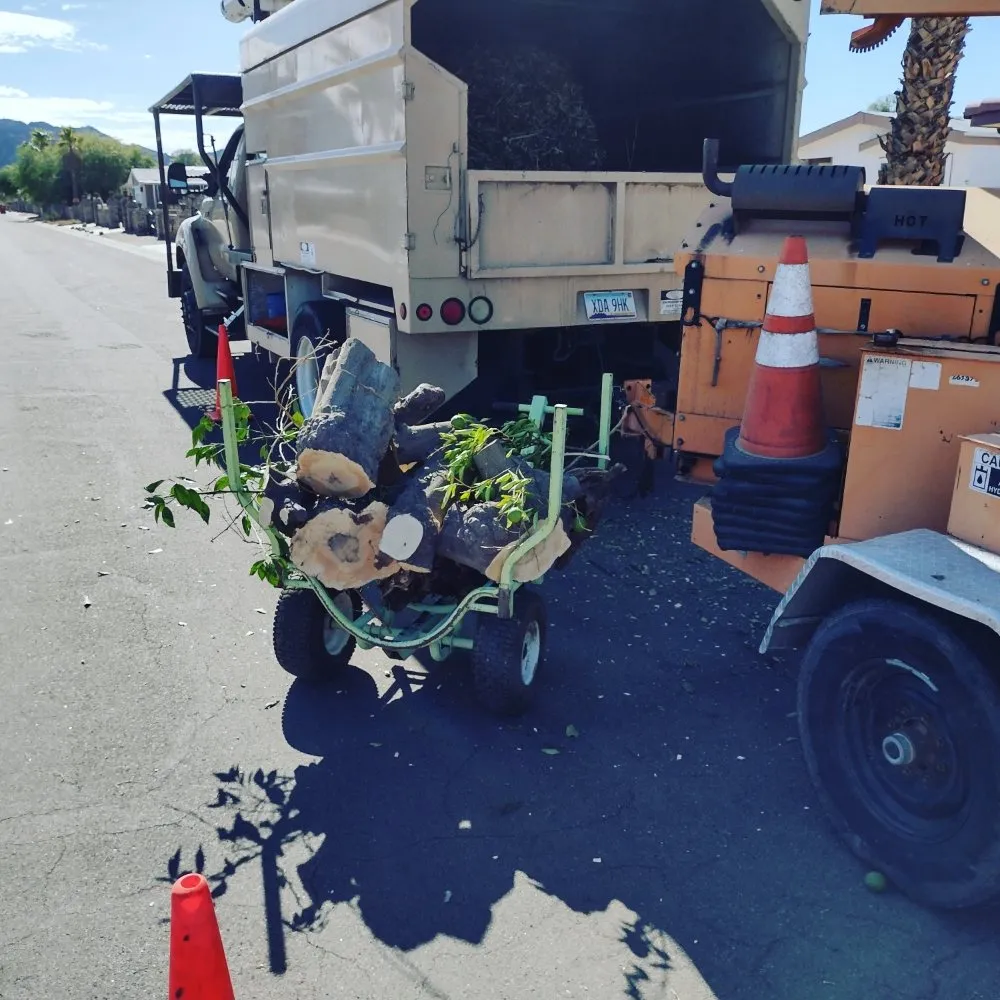 Top-rated landscaping services for residential properties in Yuma, AZ by Next Level Landscape & Tree Care