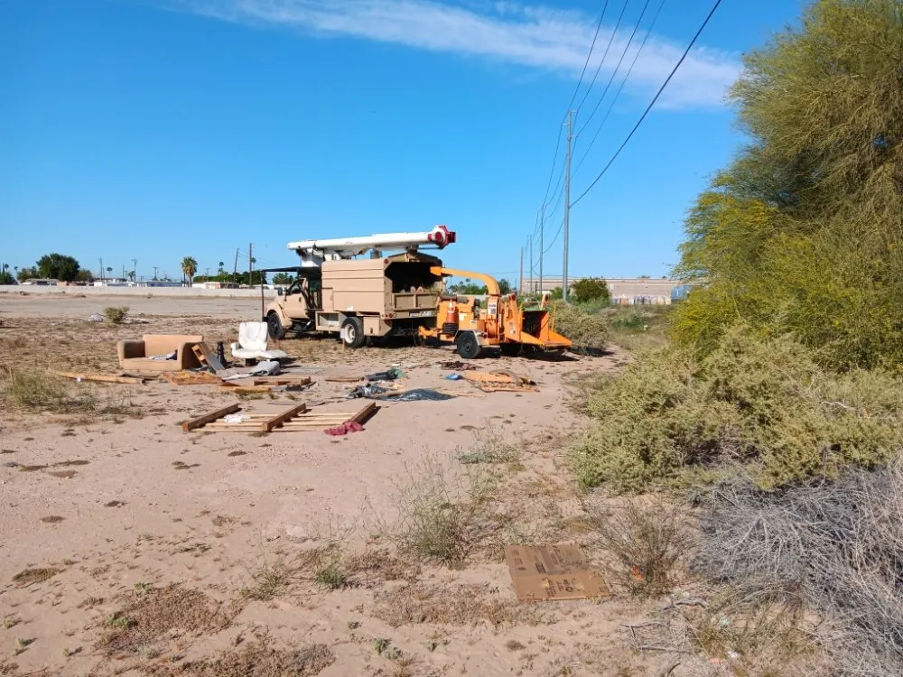 Top-rated garden landscaping in Yuma, AZ by Next Level Landscape & Tree Care