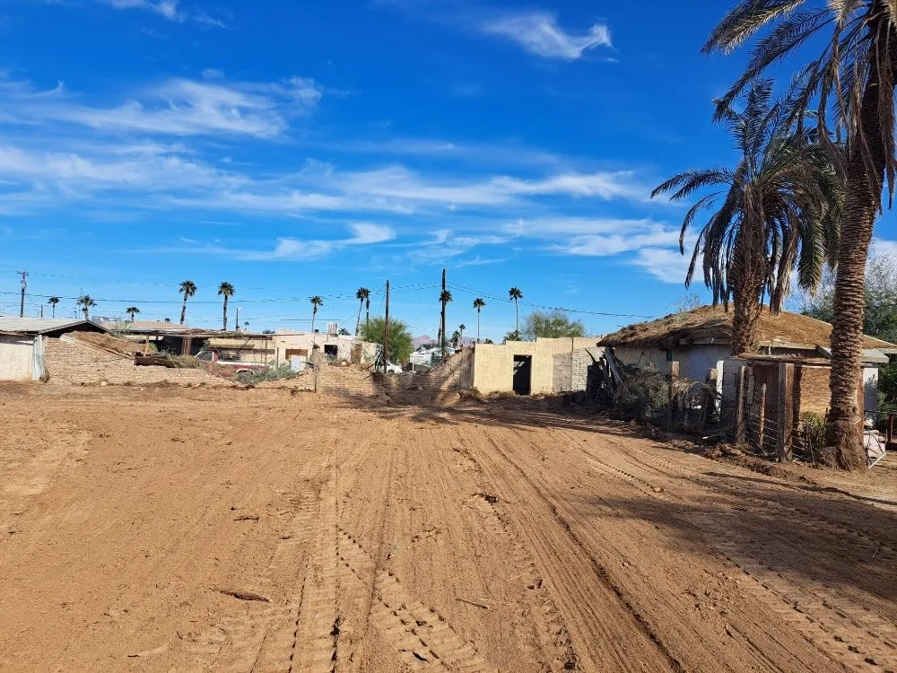 Affordable yard cleanup service experts serving Yuma, AZ - Next Level Landscape & Tree Care