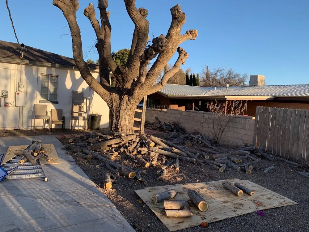 Trusted landscape design for residential properties across Yuma, AZ - Next Level Landscape & Tree Care