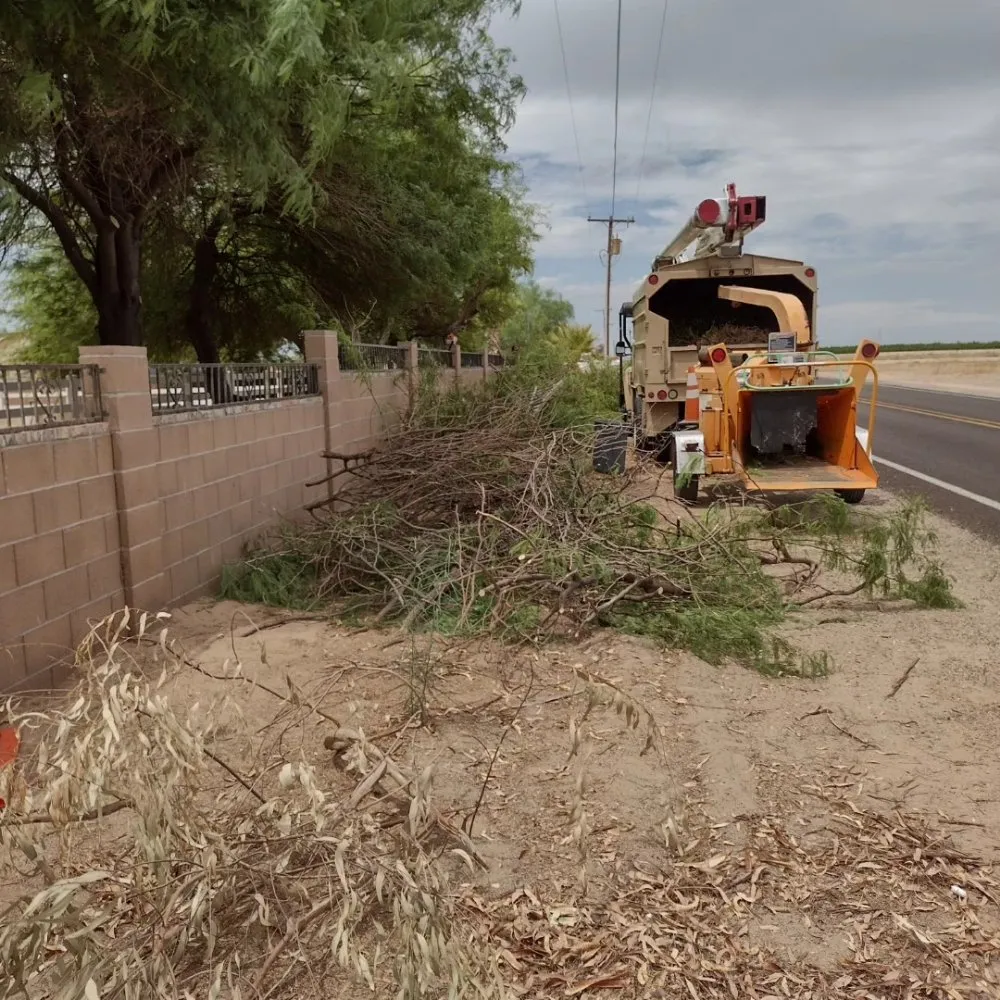 Affordable landscape installation experts serving Yuma, AZ - Next Level Landscape & Tree Care