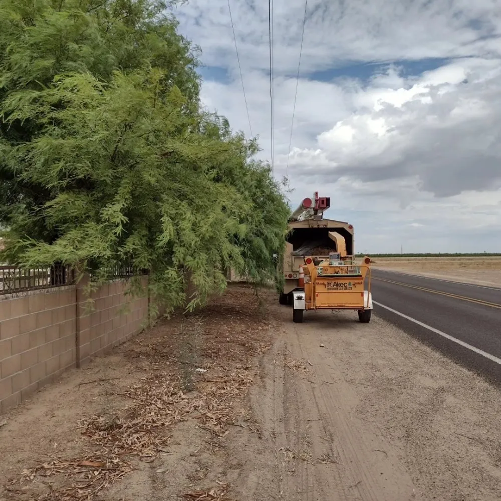 Trusted garden landscaping with custom design in Yuma, AZ by Next Level Landscape & Tree Care