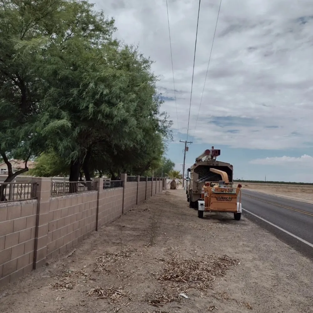 Top-rated landscape installation in Yuma, AZ by Next Level Landscape & Tree Care