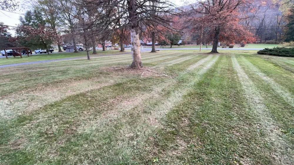 Professional garden landscaping for residential properties across Loysburg, PA - Next Level Landscape