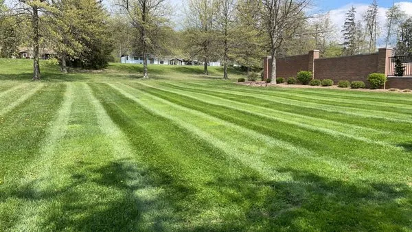 Next Level Landscape