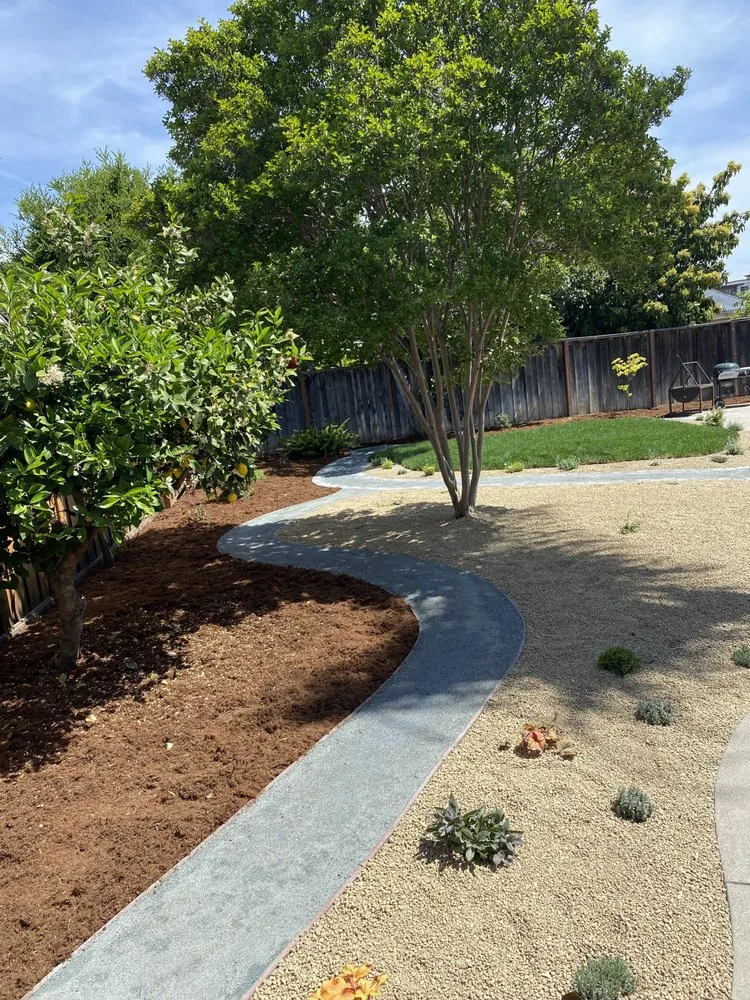 Expert yard cleanup service experts serving San Jose, CA - Next Level Landscape