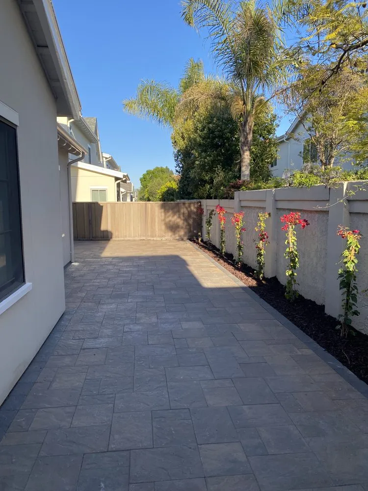 Affordable yard cleanup service experts serving San Jose, CA - Next Level Landscape