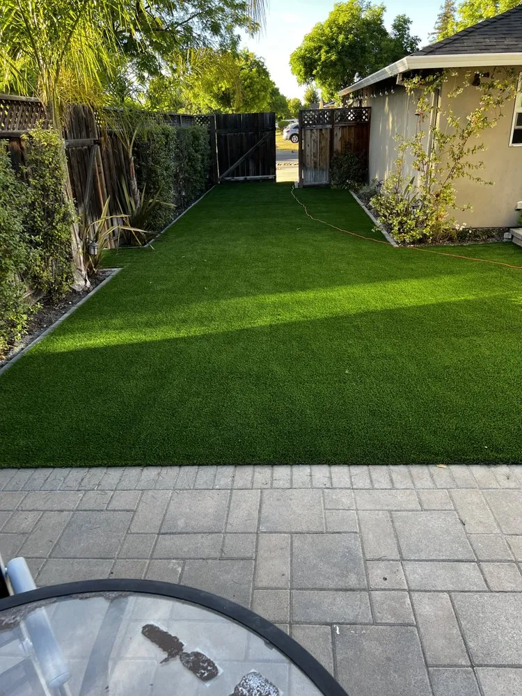 Professional yard cleanup service in San Jose, CA - Next Level Landscape