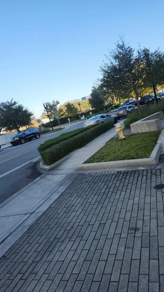 Reliable yard maintenance near you across Jacksonville, FL - Next Level Landscapes