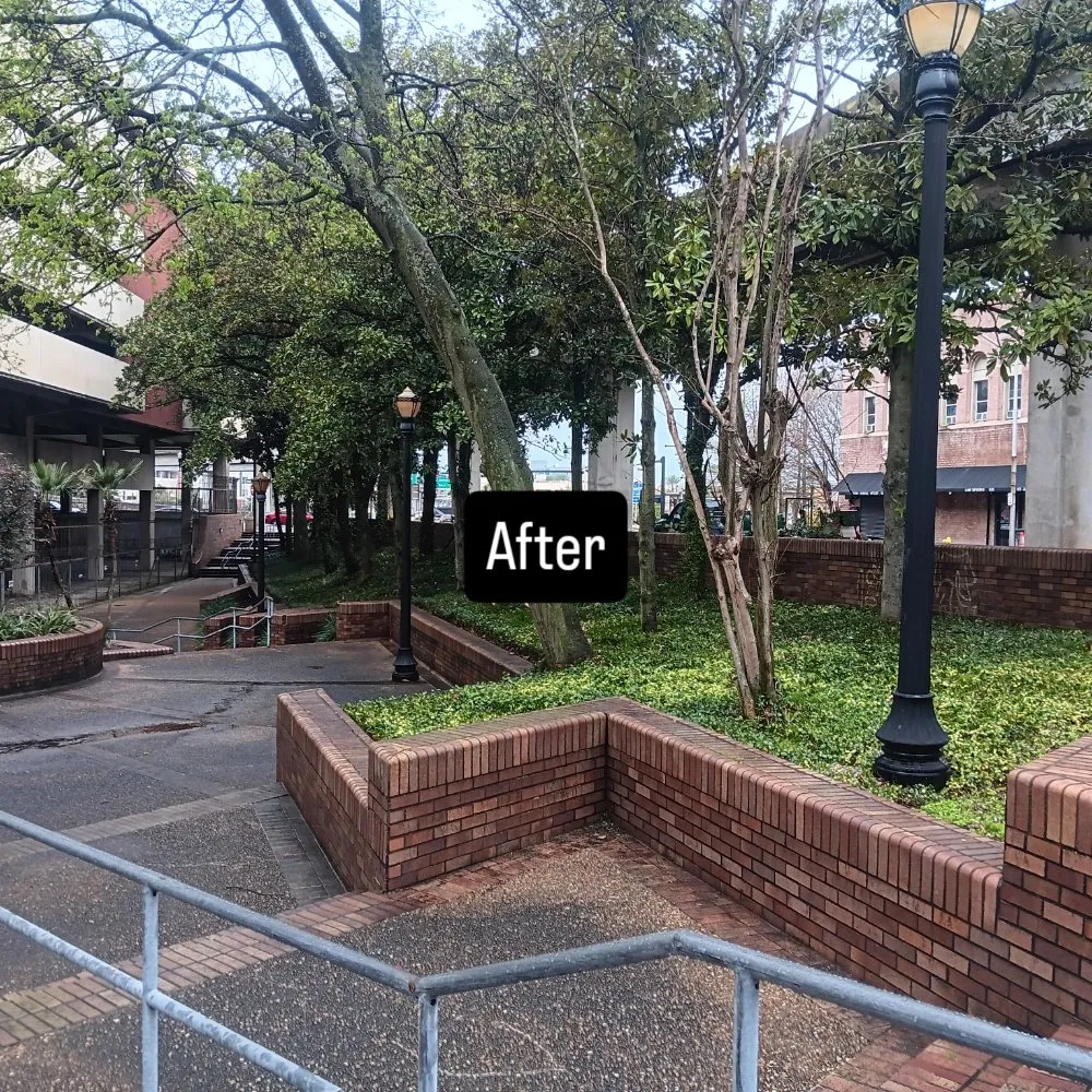 Trusted outdoor landscaping in Jacksonville, FL - Next Level Landscapes