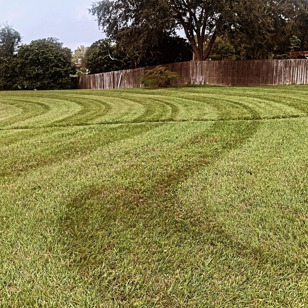 Trusted landscape installation in Jacksonville, FL by Next Level Landscapes