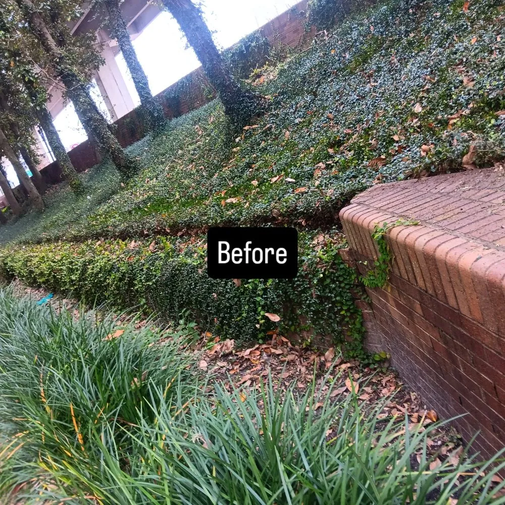 Reliable yard maintenance near you across Jacksonville, FL - Next Level Landscapes