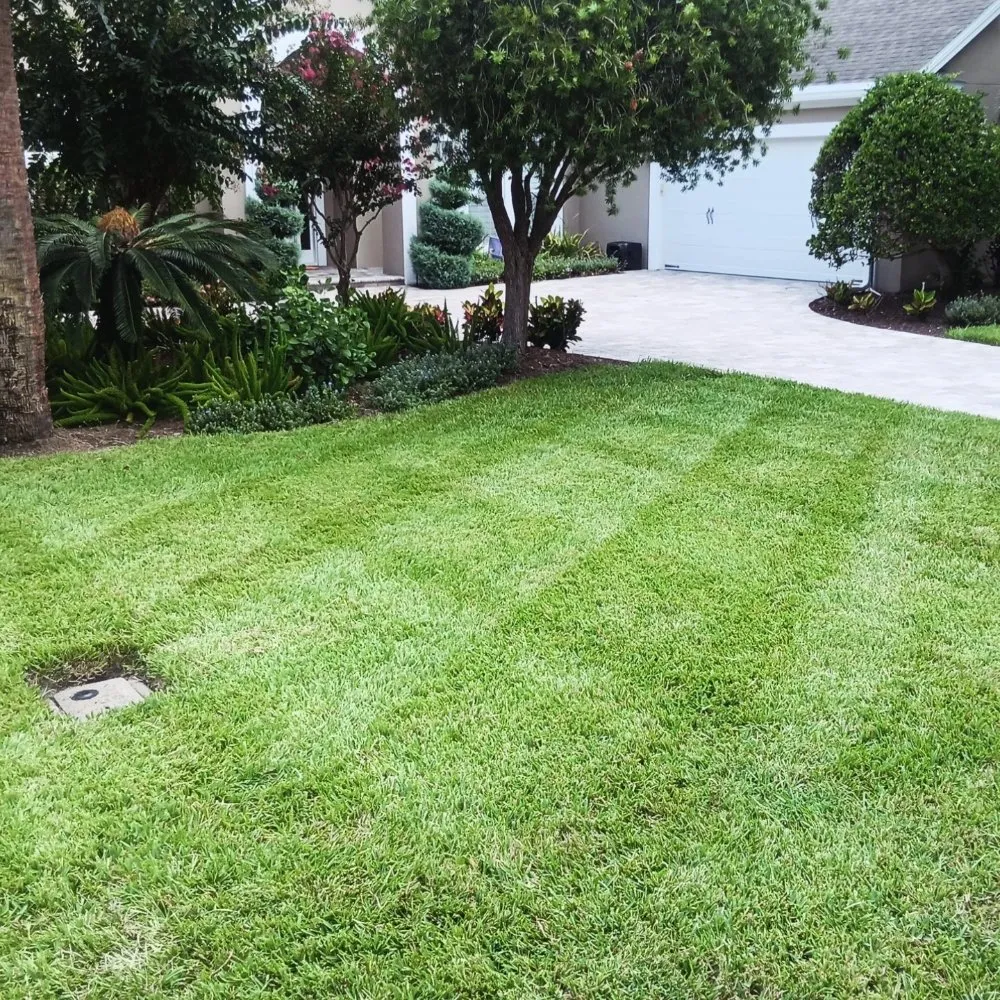 Affordable yard cleanup service near you in Jacksonville, FL by Next Level Landscapes