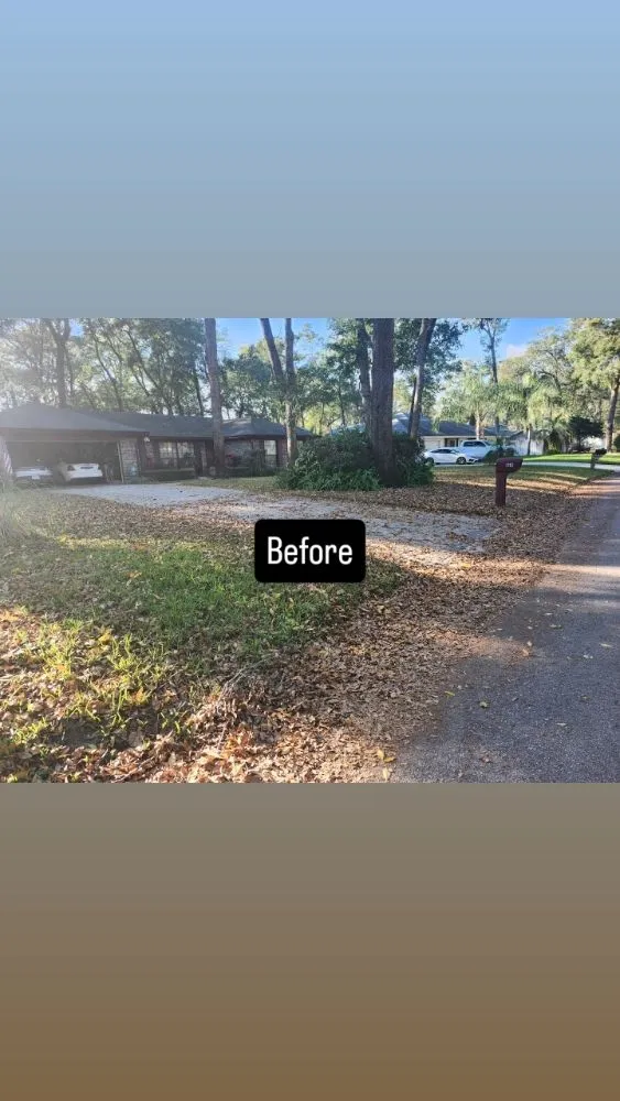 Expert lawn care service for beautiful yards across Jacksonville, FL - Next Level Landscapes