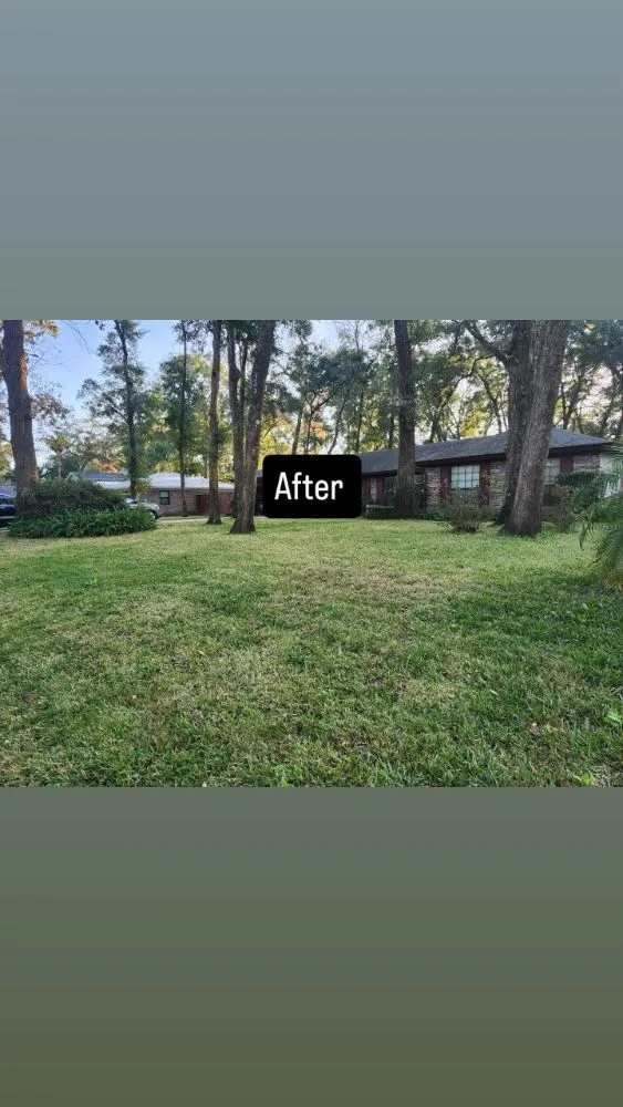 Top-rated outdoor landscaping with custom design across Jacksonville, FL - Next Level Landscapes