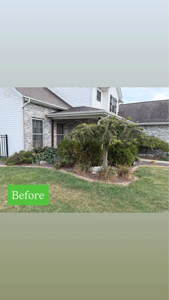 Expert landscape design in Trenton, IL - Next Level Landscapes