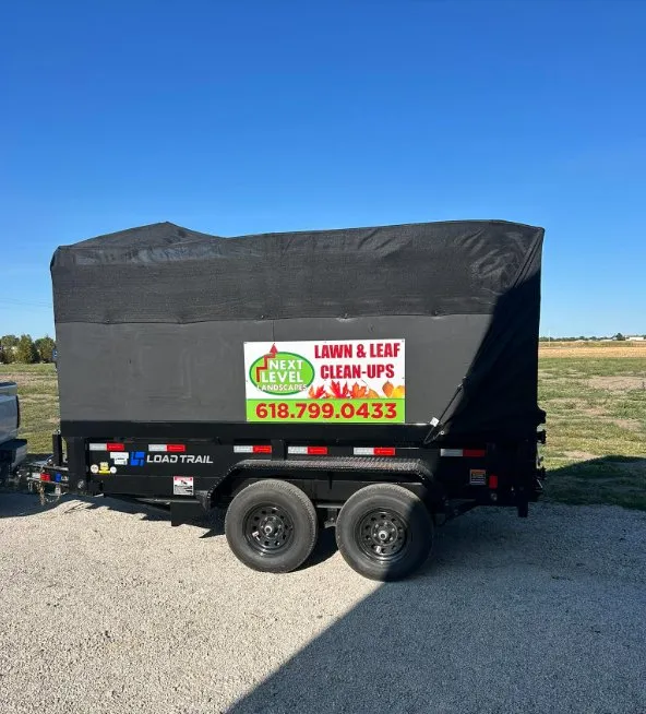 Top-rated landscape design for outdoor upgrades in Trenton, IL by Next Level Landscapes