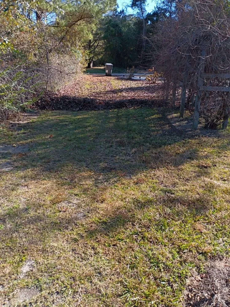 Reliable outdoor landscaping in Navassa, NC - Next Level Landscaping & Lawn Care