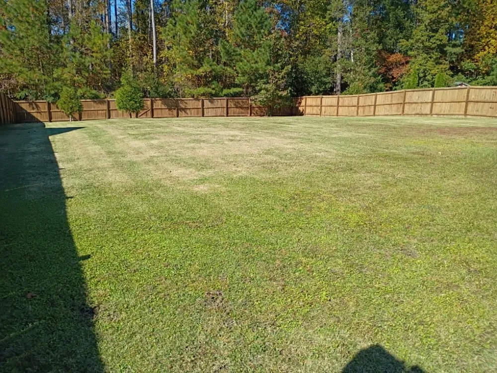 Affordable outdoor landscaping for residential properties in Navassa, NC by Next Level Landscaping & Lawn Care