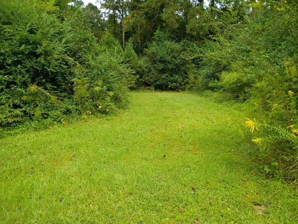 Top-rated yard maintenance for outdoor upgrades across Navassa, NC - Next Level Landscaping & Lawn Care