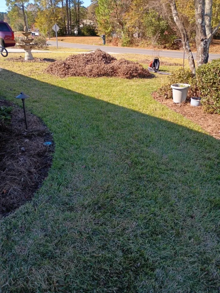 Trusted landscape installation experts serving Navassa, NC - Next Level Landscaping & Lawn Care