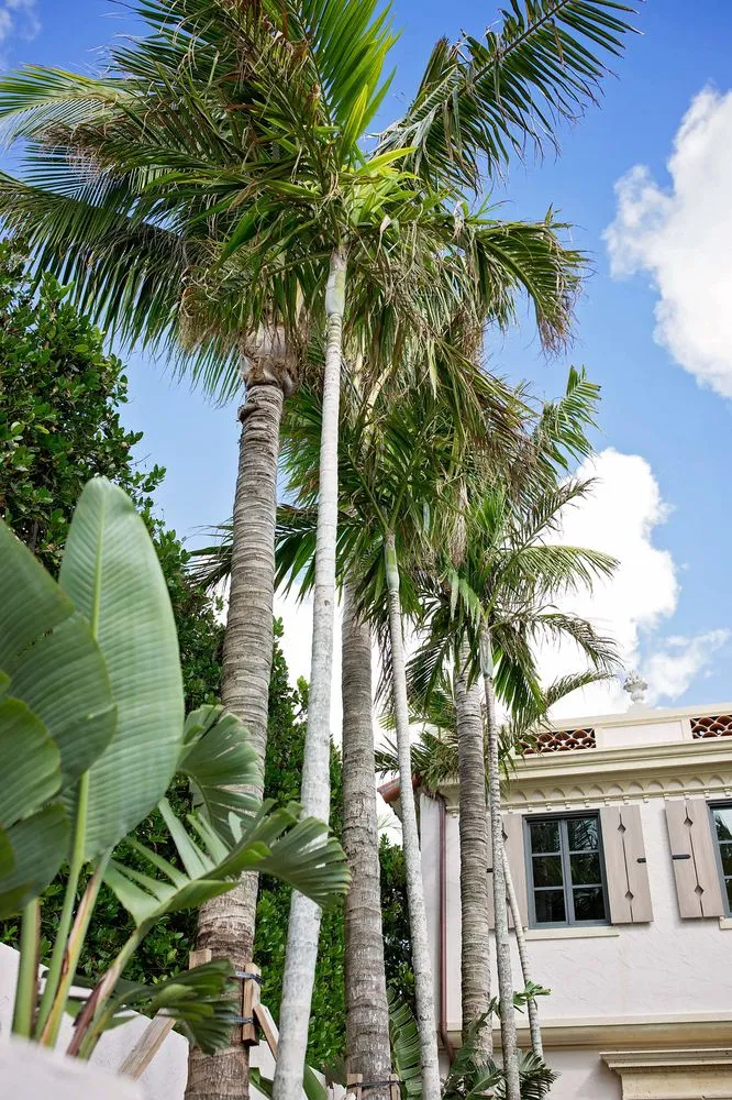 Professional lawn care service in Lake Worth, FL - Next Level Landscaping and Maintenance