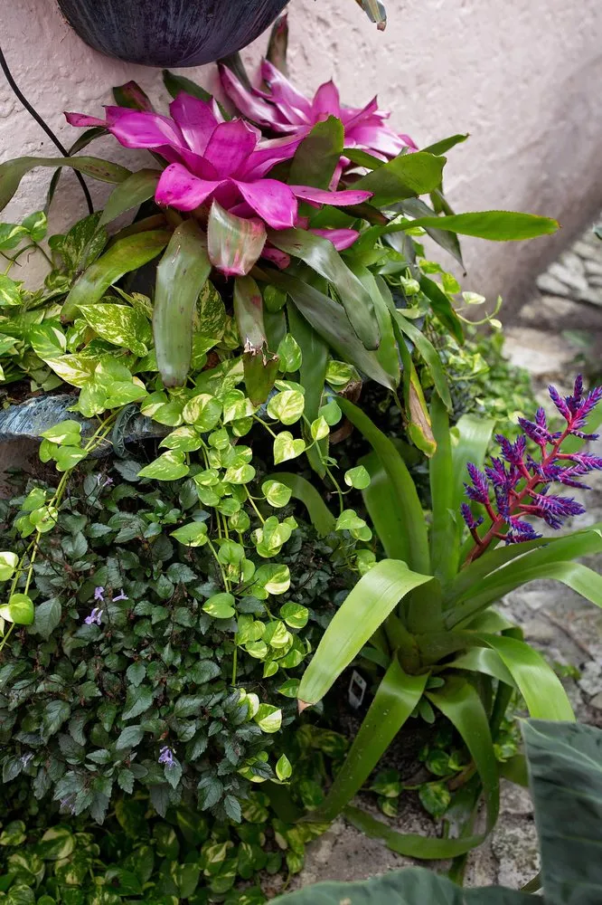 Local lawn care service in Lake Worth, FL by Next Level Landscaping and Maintenance