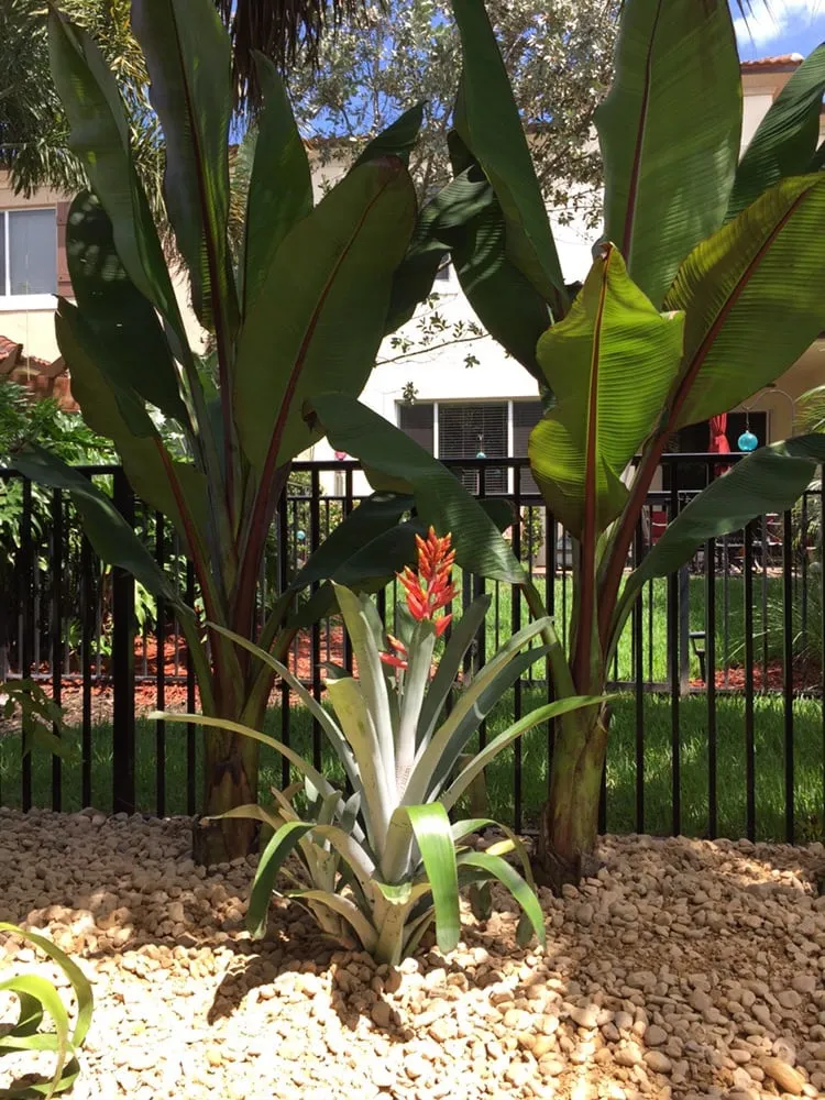 Affordable residential landscaping in Lake Worth, FL - Next Level Landscaping and Maintenance