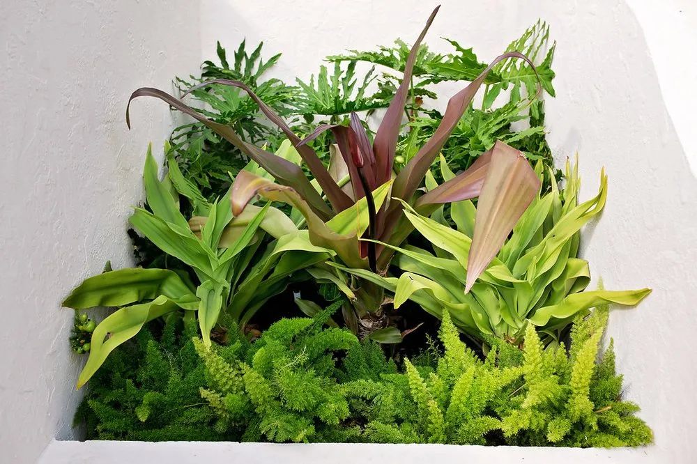 Expert lawn mowing service in Lake Worth, FL - Next Level Landscaping and Maintenance