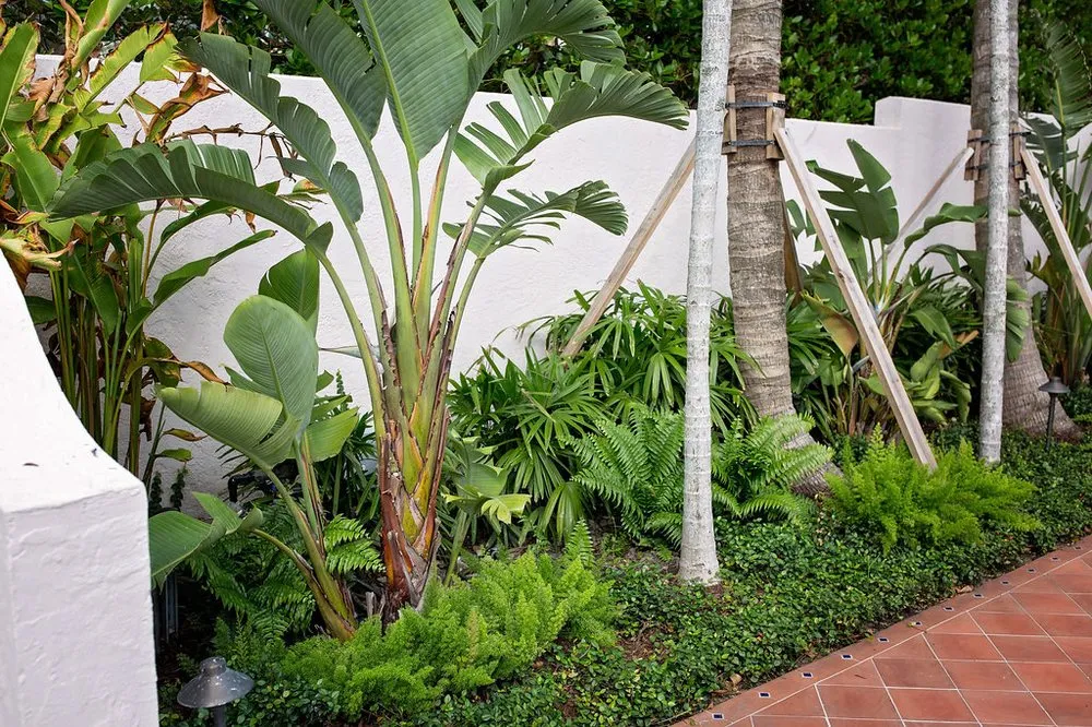 Top-rated yard cleanup service experts serving Lake Worth, FL - Next Level Landscaping and Maintenance