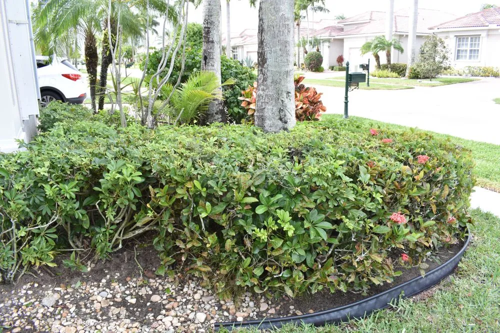 Top-rated lawn care service in Lake Worth, FL by Next Level Landscaping and Maintenance