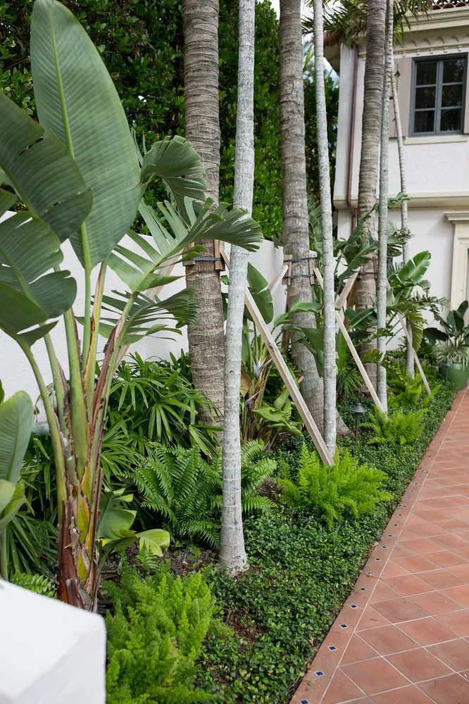 Custom residential landscaping experts serving Lake Worth, FL - Next Level Landscaping and Maintenance