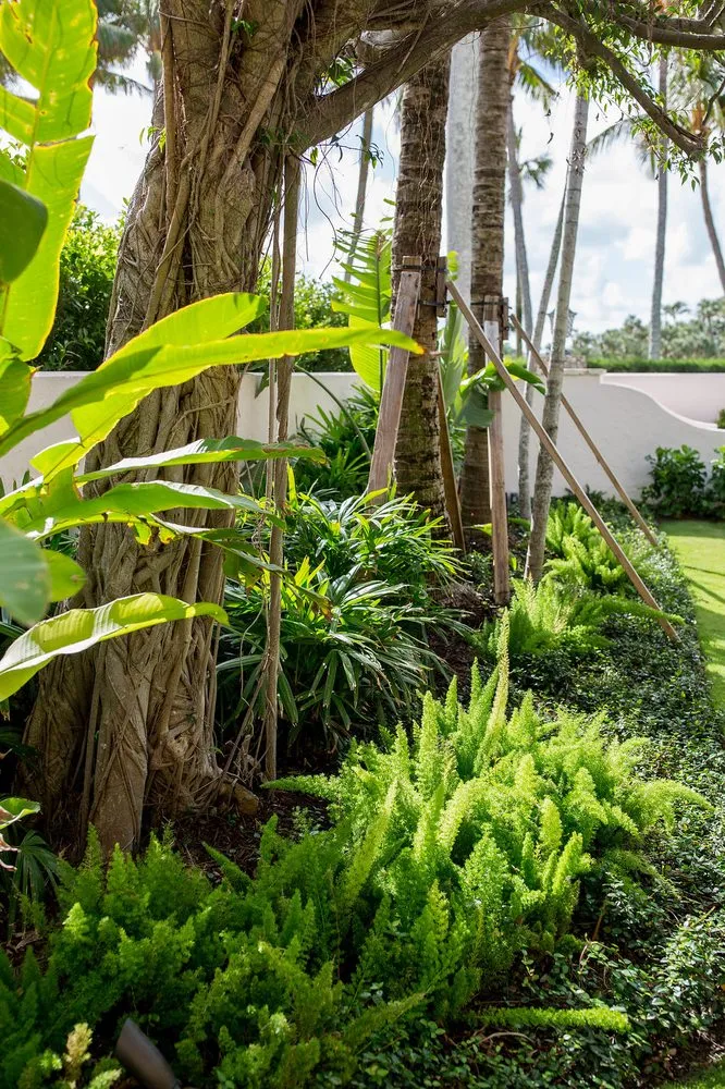 Expert yard cleanup service near you across Lake Worth, FL - Next Level Landscaping and Maintenance