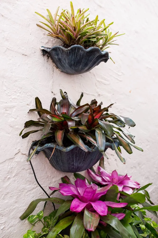 Top-rated lawn care service in Lake Worth, FL by Next Level Landscaping and Maintenance