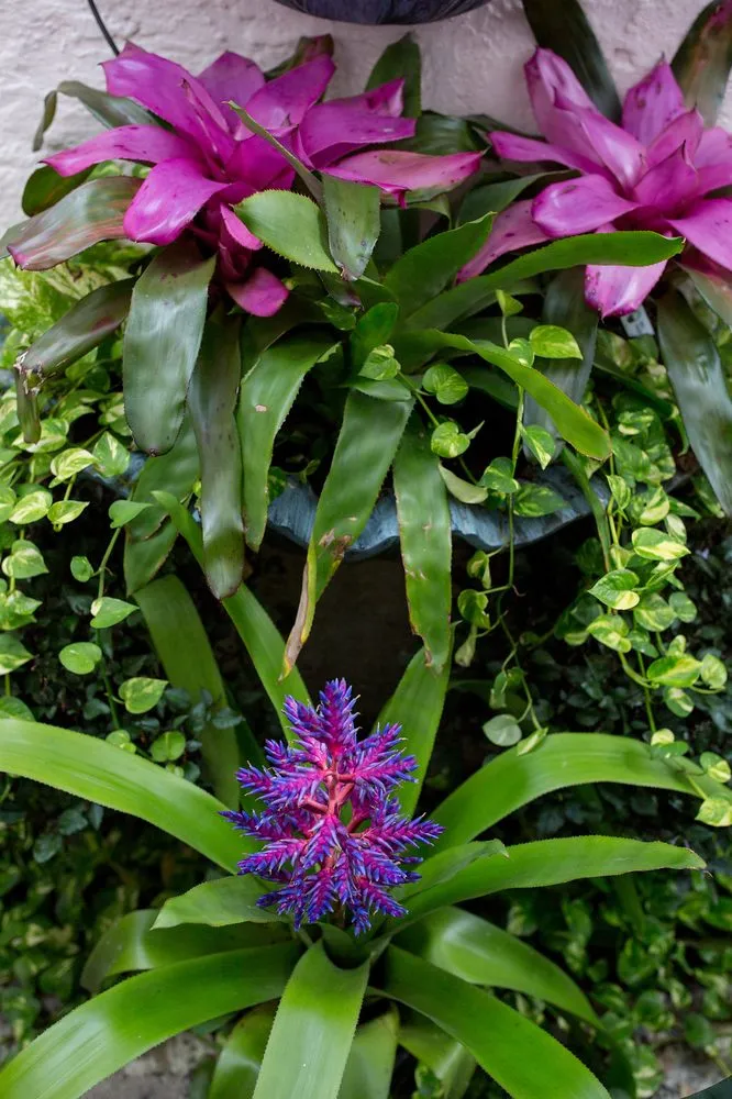 Top-rated landscape design in Lake Worth, FL by Next Level Landscaping and Maintenance