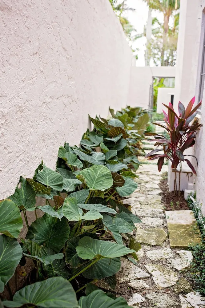 Top-rated landscape installation for year-round maintenance across Lake Worth, FL - Next Level Landscaping and Maintenance