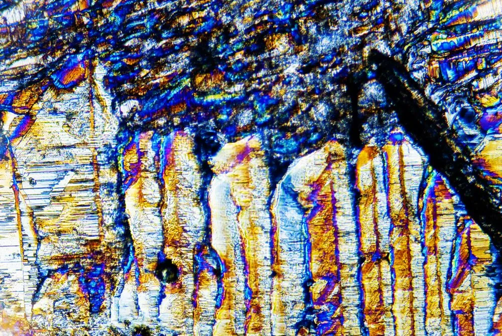 Affordable garden landscaping for beautiful yards in West Hills, CA by Next Level Landscaping and Tree Trimming