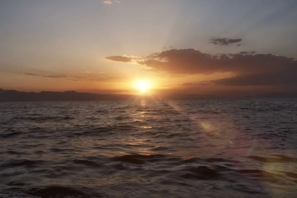 Professional landscaping services in West Hills, CA by Next Level Landscaping and Tree Trimming