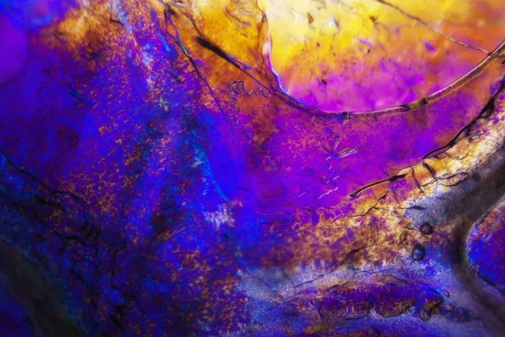 Top-rated garden landscaping in West Hills, CA by Next Level Landscaping and Tree Trimming