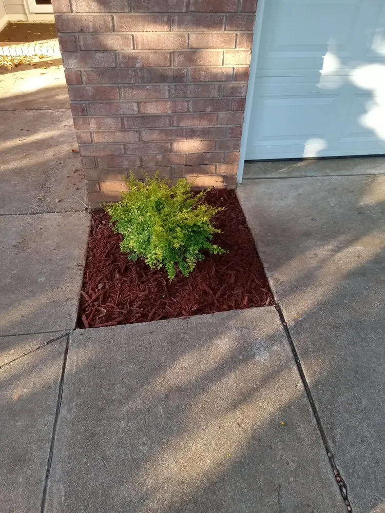 Local yard maintenance with custom design in Bigelow, AR by Next level Landscaping
