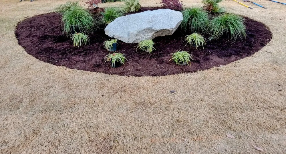 Expert yard maintenance near you across Bigelow, AR - Next level Landscaping