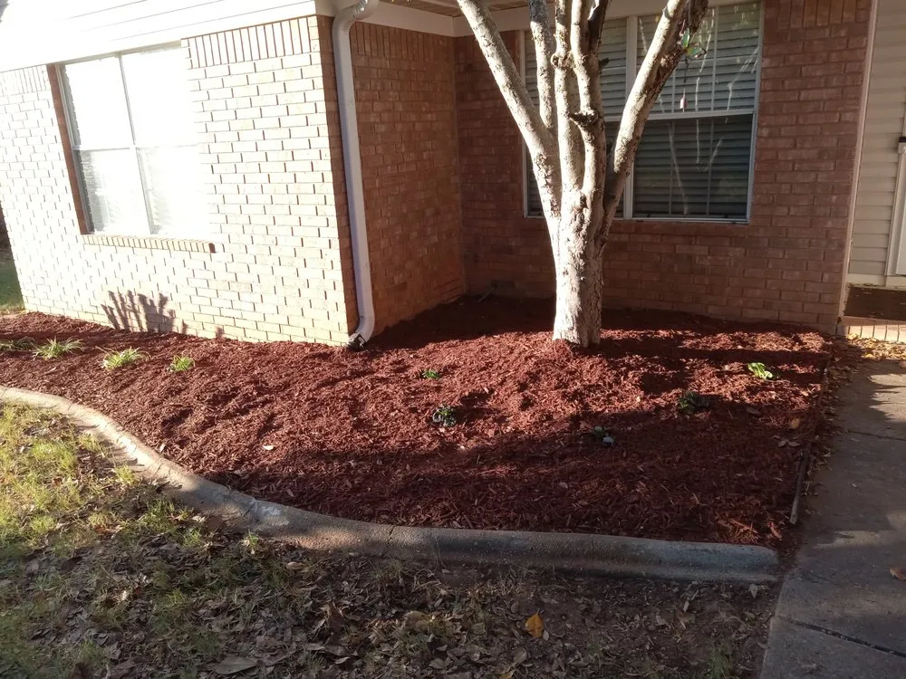 Custom lawn mowing service for outdoor upgrades across Bigelow, AR - Next level Landscaping