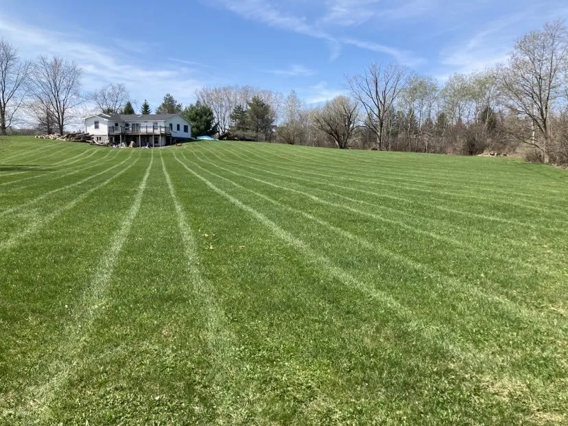 Affordable landscape design experts serving Groton, NY - Next Level Landscaping