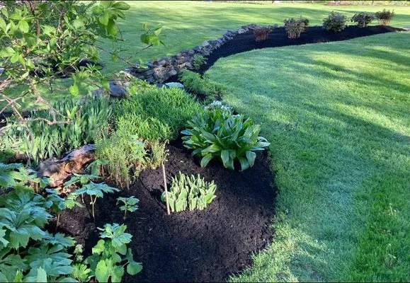 Next Level Landscaping